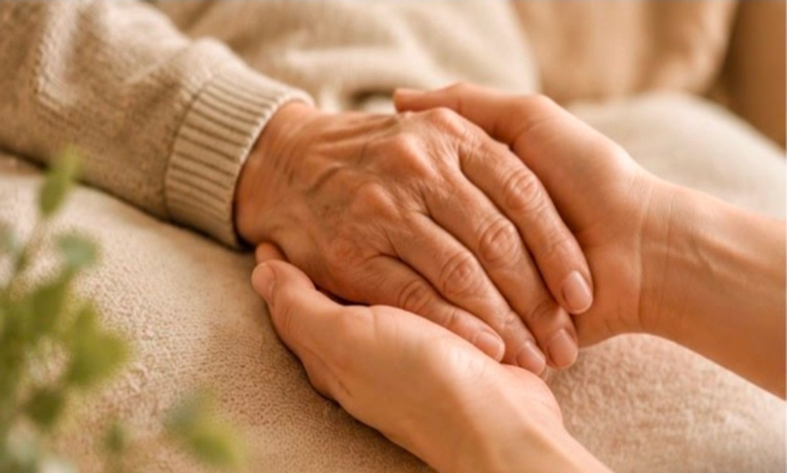 Helferin hält die Hand einer älteren Dame Helferin hält die Hand einer älteren Dame